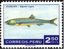 Timbre: Anchois