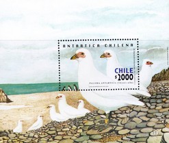 Timbre: Oiseaux ; Chionis alba Le Bloc