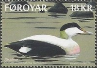 Timbre: Canard Eider &agrave; duvet