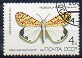 Timbre: Papillon Utetheisa pulchella