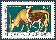 Timbre: Animaux de la r&eacute;serve d'&Eacute;tat. Lama et orx
