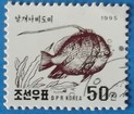 Timbre: Heniochus accuminatus