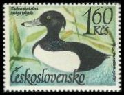 Timbre: Ciconia nigra