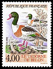 Timbre: Nature de France:Le tadorne de belon