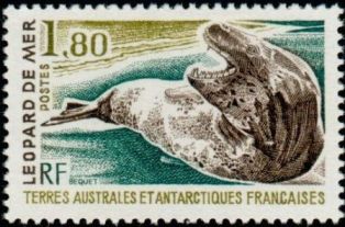 Timbre: L&eacute;opard de mer