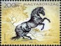 Timbre: Cheval