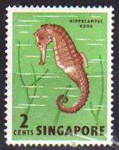 Timbre: Hippocampe