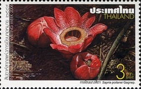 Timbre: Plante carnivore