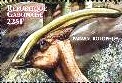 Timbre: Animal prehistorique