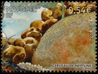 Timbre: Corail - cerveau de neptune