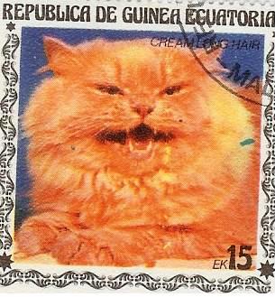 Timbre: Chat &agrave; poil long