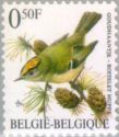 Timbre: Oiseau Roitelet hupp&eacute;