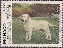 Timbre: Expo canine