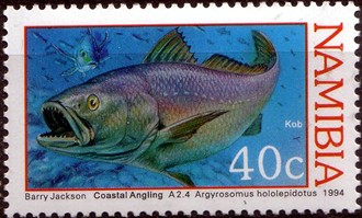 Timbre: Argyrosmus hololepidotus