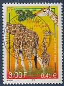 Timbre: Girafe r&eacute;ticul&eacute;e