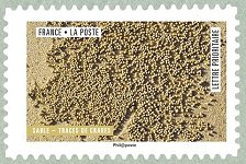 Timbre: Oeuvre de la nature : Sable -Traces de crabes