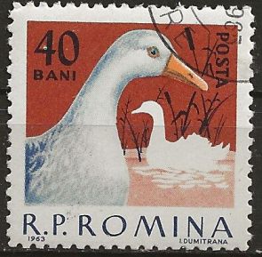 Timbre: Animaux de basse-cour : canard