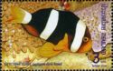 Timbre: AMPHIPRION