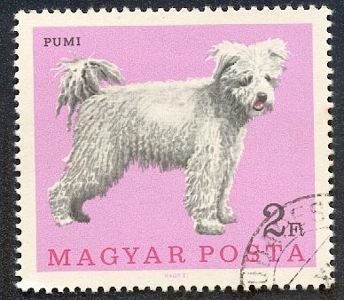 Timbre: Pumi