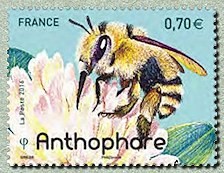 Timbre: Abeilles solitaires: Anthophare