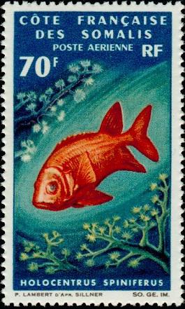 Timbre: Holocanthus spiniferus