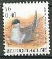 Timbre: Sterne pierregarin