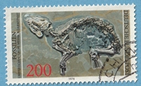 Timbre: Propalaeotherium messelens