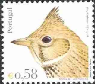 Timbre: Hirondelle -hirundo daurica