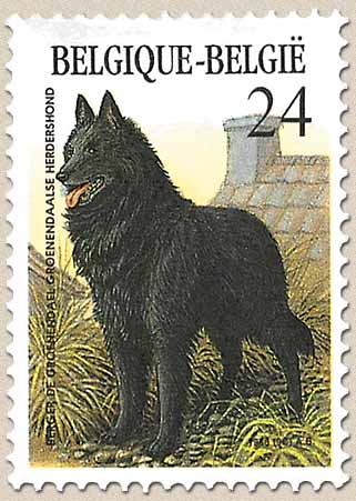 Timbre: Berger de Groenendael
