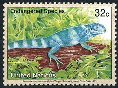 Timbre: Brachylophus