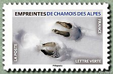 Timbre: Empreinte de chamois des alpes