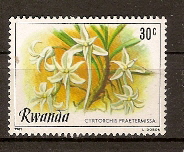 Timbre: Cyrtorchis praetermissa