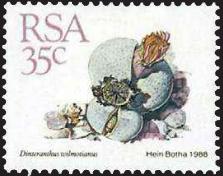 Timbre: Dintheranthus wilmortianus.