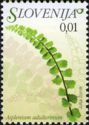 Timbre: Asplenium