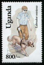 Timbre: Labrador guide d'aveugle