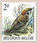 Timbre: Moineau friquet