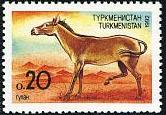 Timbre: Cheval