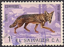 Timbre: Coyote