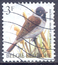 Timbre: Bruant des roseaux