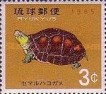 Timbre: Ryukyuan Turtles 