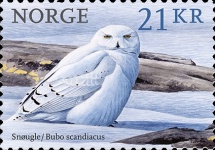 Timbre: Harfang des neiges