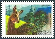 Timbre: Faune d'URSS - Chevrotin ou porte-musc