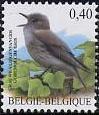 Timbre: Gobe mouche gris