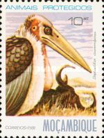 Timbre: Vautour: Leptoptilos crumeniferus
