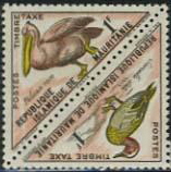 Timbre: P&eacute;lican rose et sarcelle d'&eacute;t&eacute;