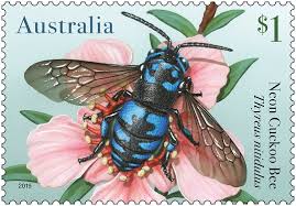 Timbre: Abeille - Thyreus nitidulus