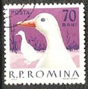 Timbre: Canard