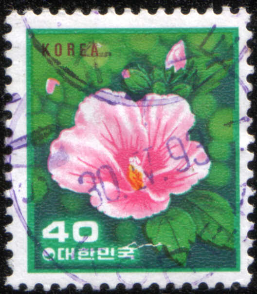 Timbre: Roses de Sharon Hibiscus syriacus