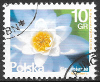 Timbre: Lotus - Grzybienie