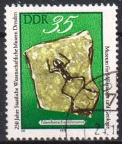 Timbre: Palaeobatrachus diluvianus